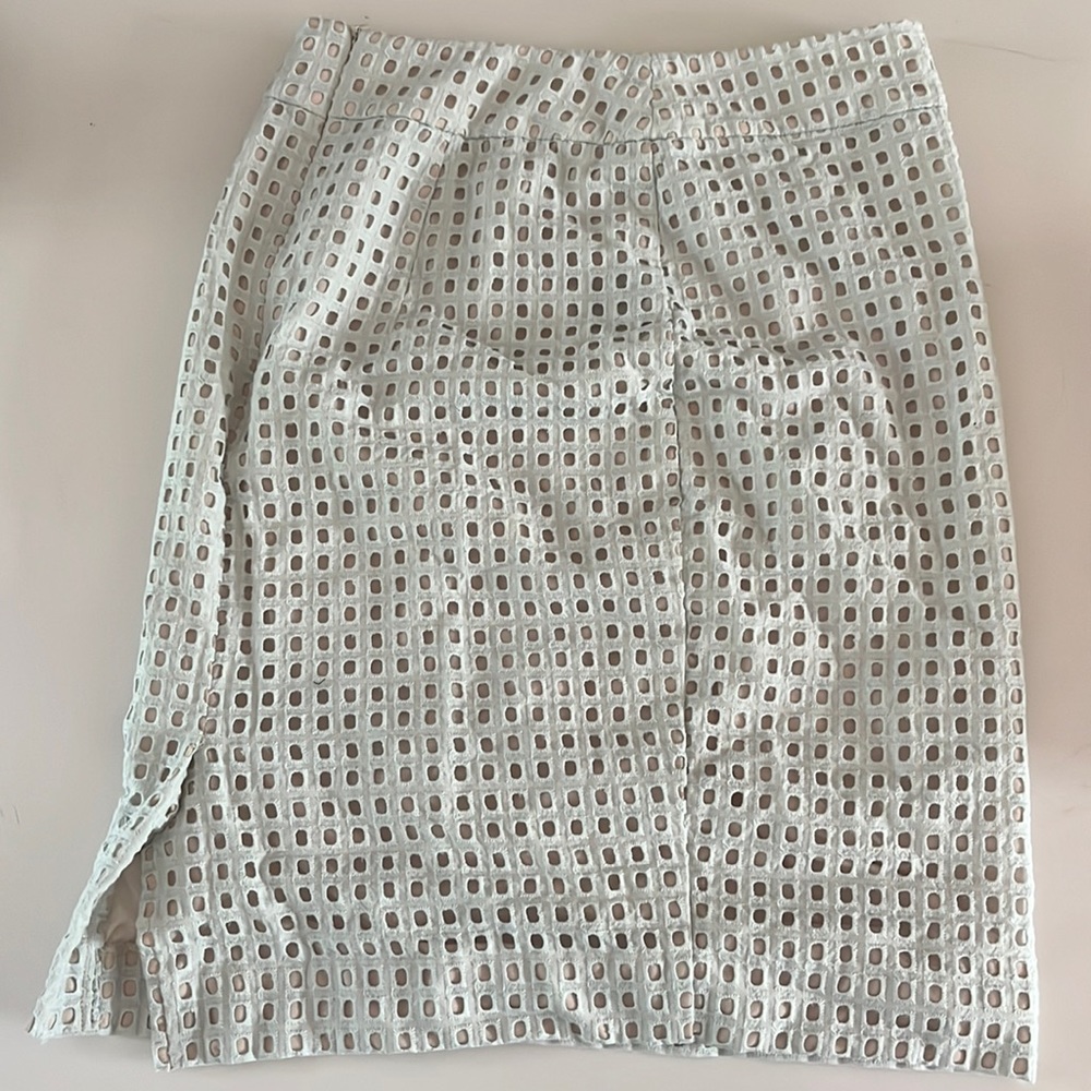 Ann Taylor Petite Pencil Skirt